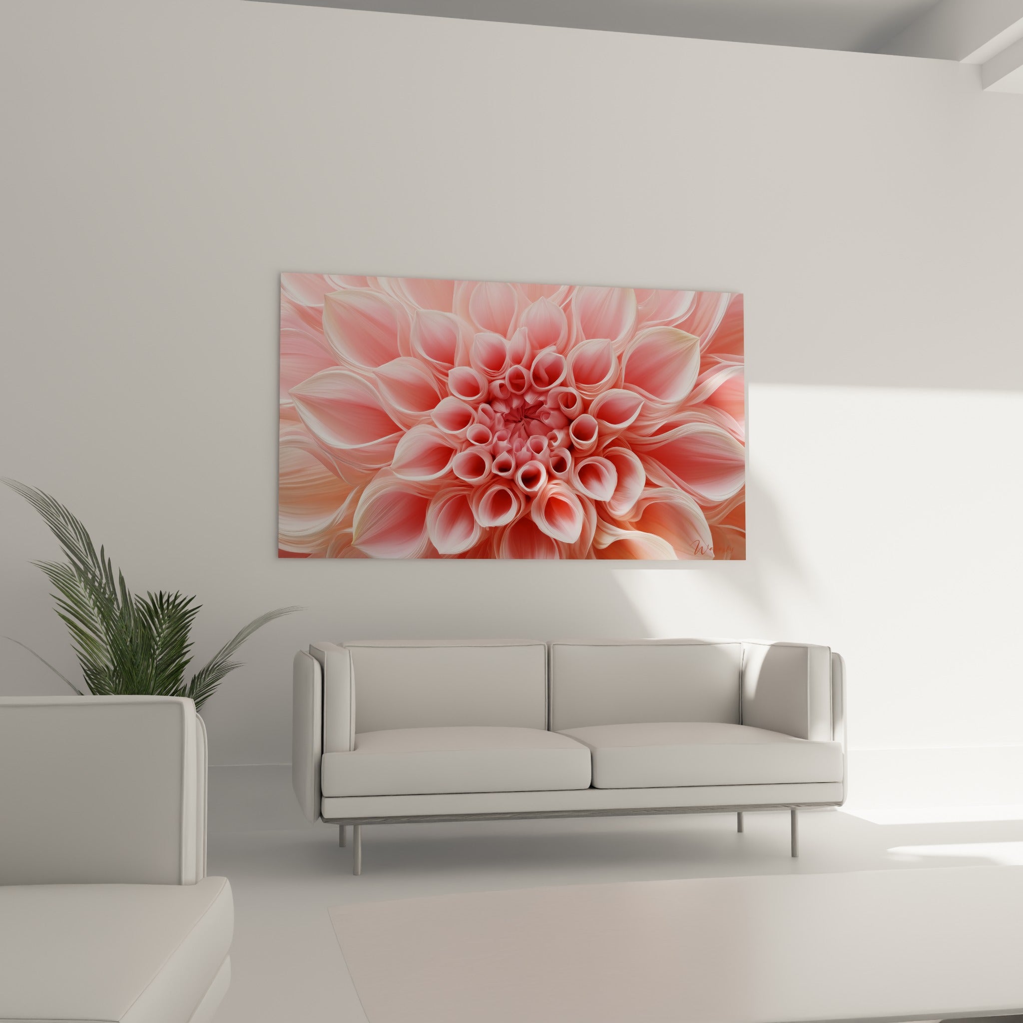 Fleur dahlia corail et blanche aux nervures fines suspendue au-dessus d'un canapé dans un salon lumineux