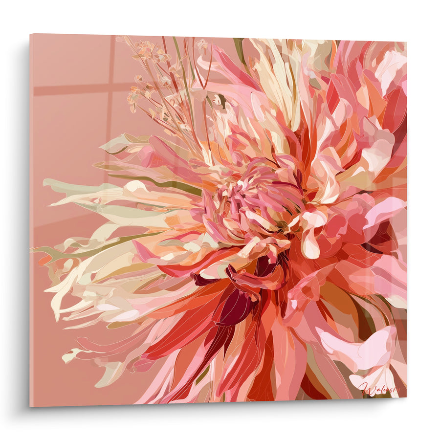 Dahlia-Tischbild in Rosa und Koralle mit spitz zulaufenden Blütenblättern - Einfarbiger rosa Hintergrund - Dahlia Edition