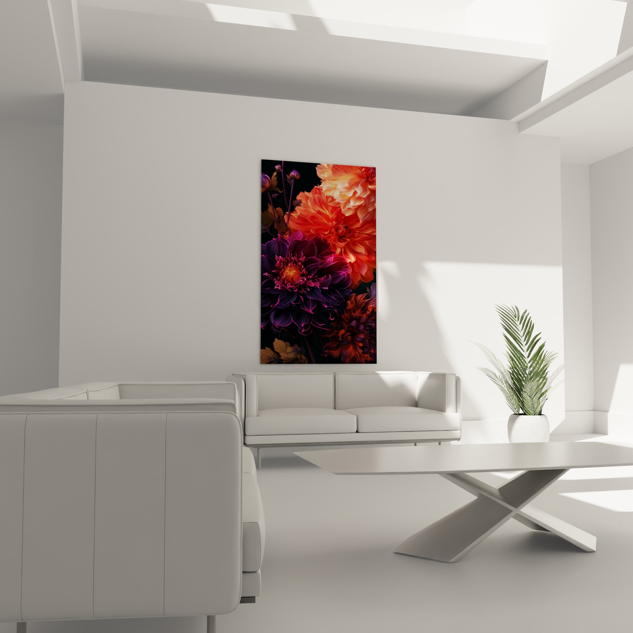 Pétales magenta et orangés d'un dahlia dense au-dessus d'un canapé dans un salon lumineux