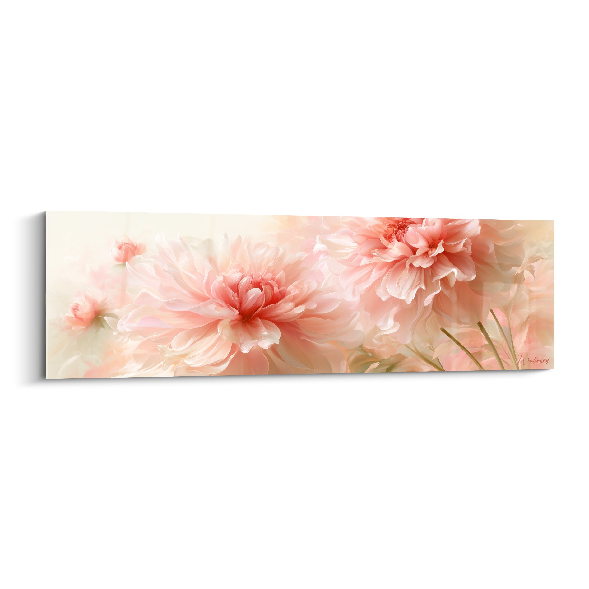 Dahlias roses et crème aux pétales veloutés déployés sur fond ivoire doux et lumineux