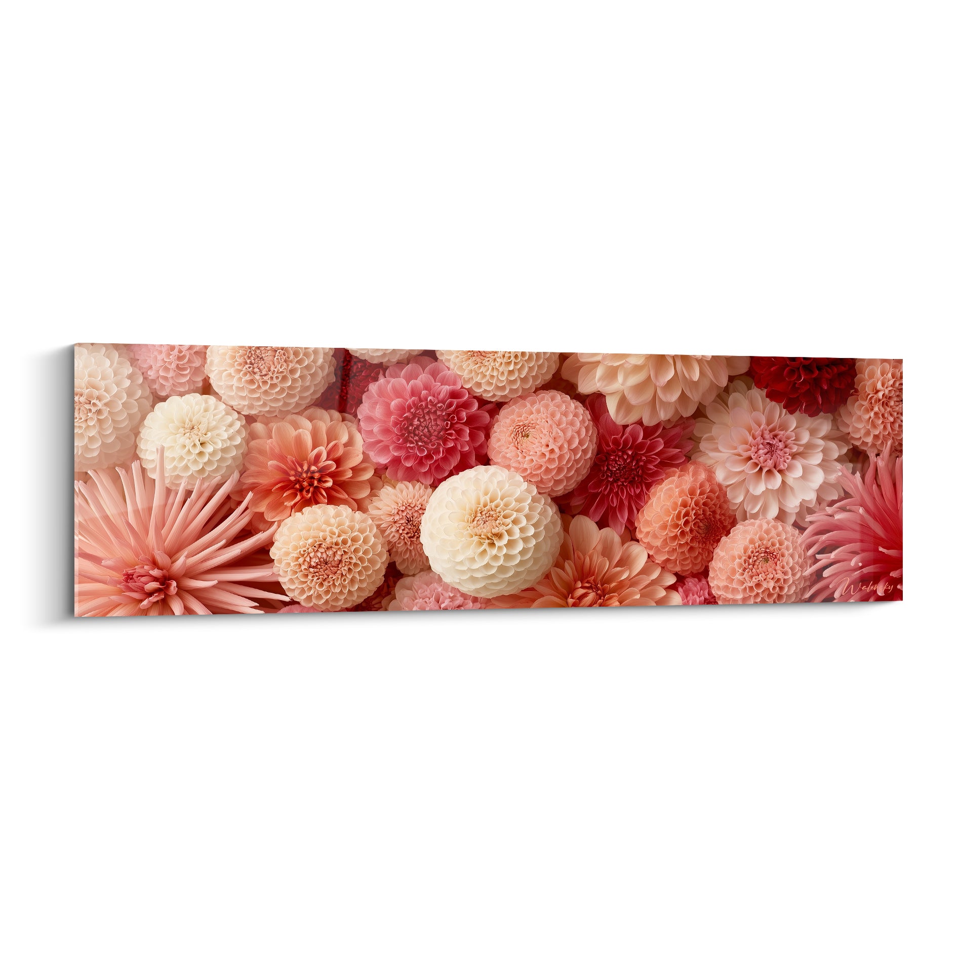 Dahlias roses, ivoire et corail serrés en composition dense et florale sur fond neutre