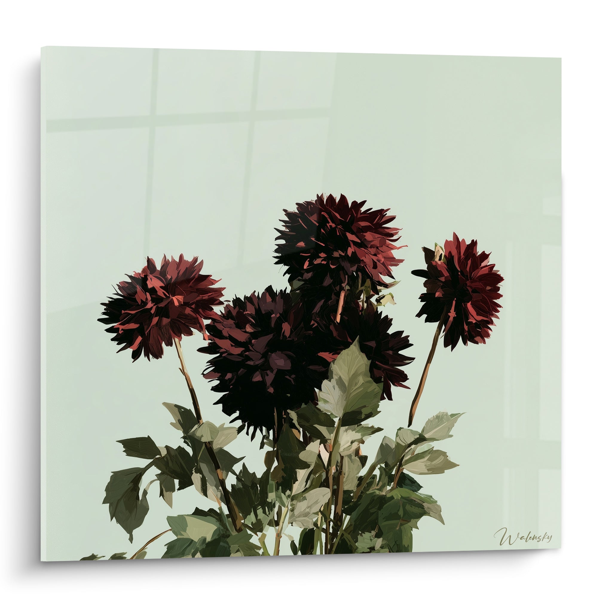 Dahlias grenat aux pétales sombres se déployant sur fond vert amande lumineux, style pictural graphique.