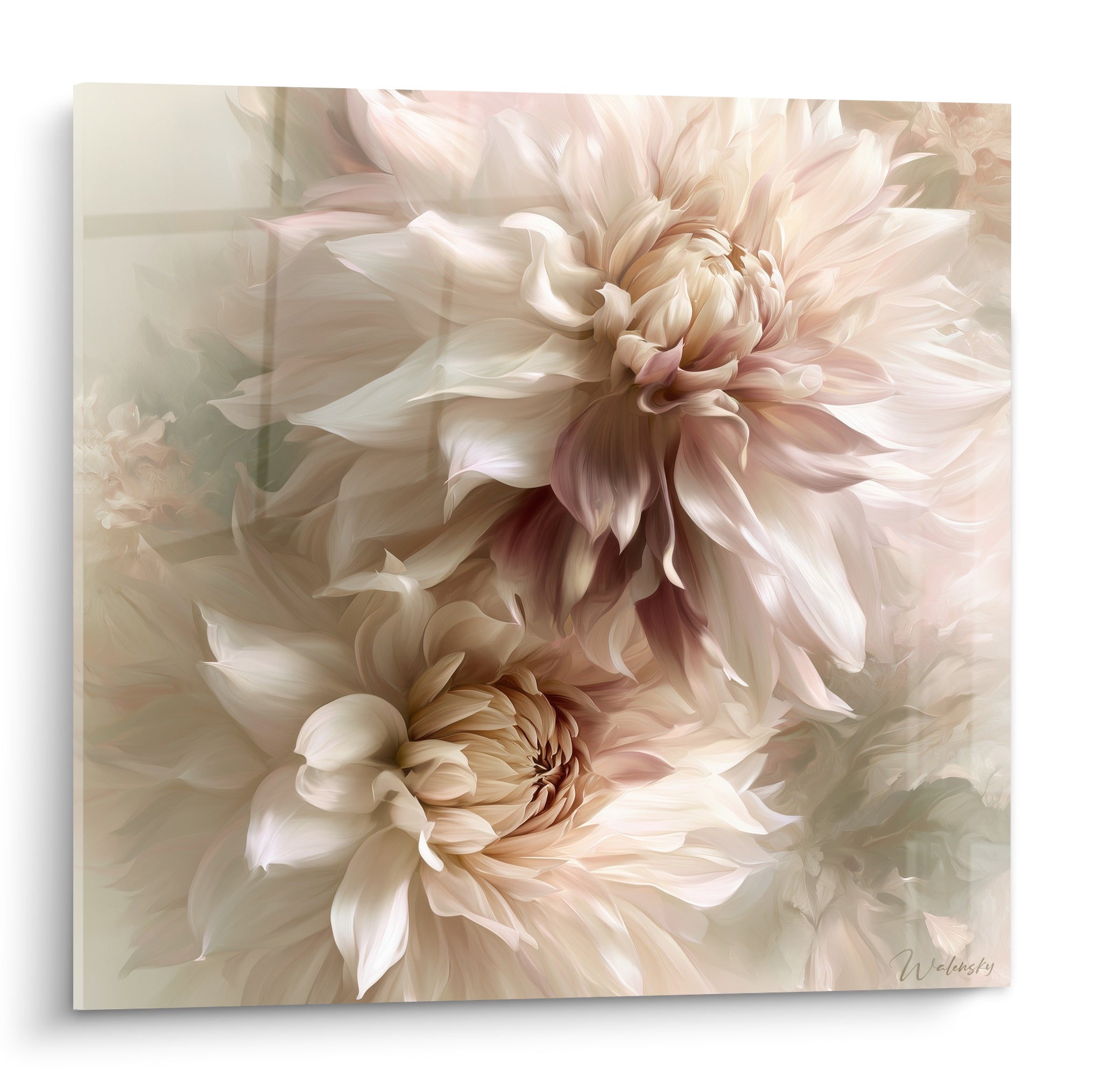 Dahlias ivoire aux cœurs rosé poudré, pétales déployés en spirale, peinture florale délicate