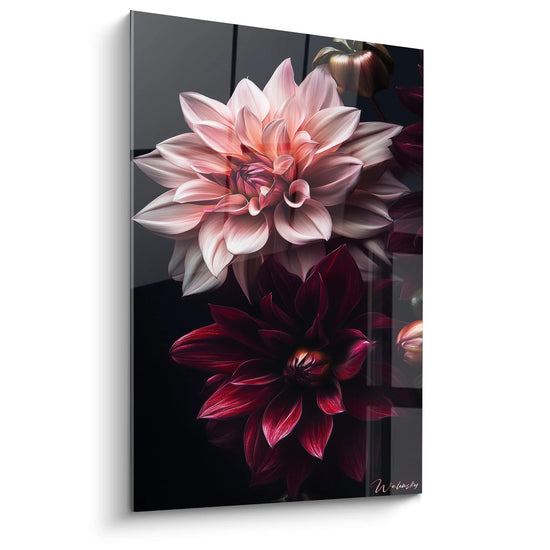 Un quadro Dahlia natura che mette in evidenza dalie con petali rosa pallido e rosso profondo su sfondo nero. Le texture lisce e dettagliate accentuano il rilievo e la luce dei fiori.

