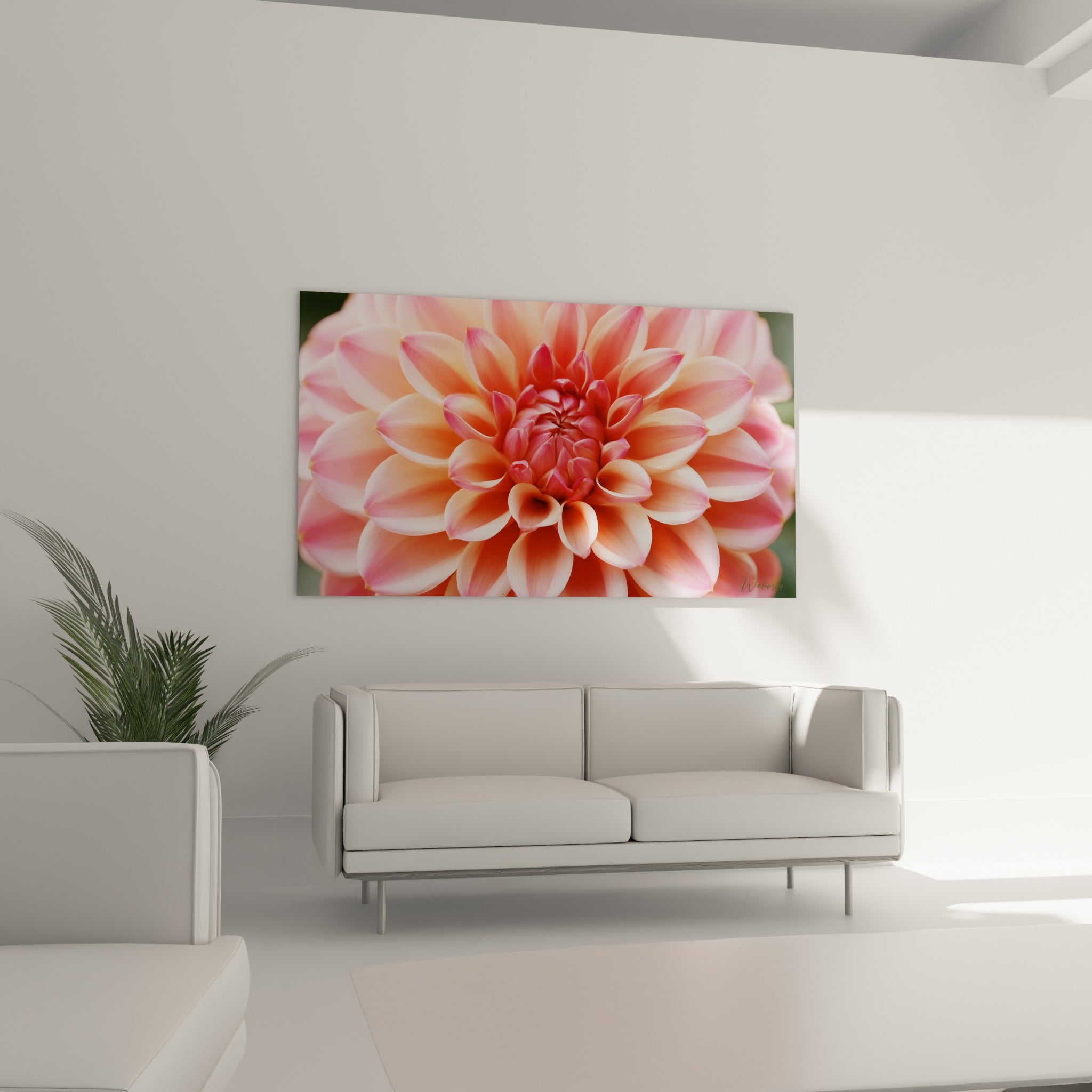 Pétales de dahlia rose et orangé disposés en cercle, présentés au-dessus d'un canapé dans un salon lumineux