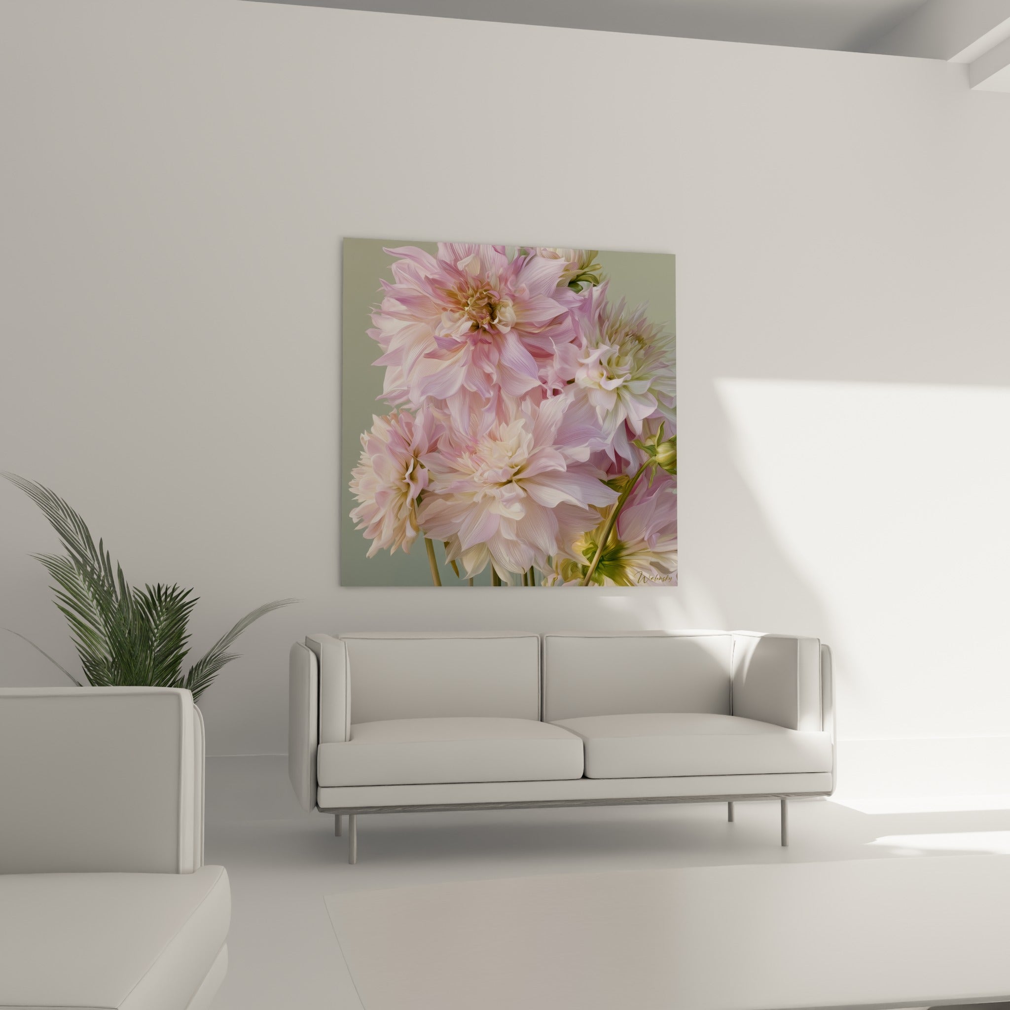 Pétales de dahlias roses et blancs délicatement superposés au-dessus d'un canapé dans un salon lumineux