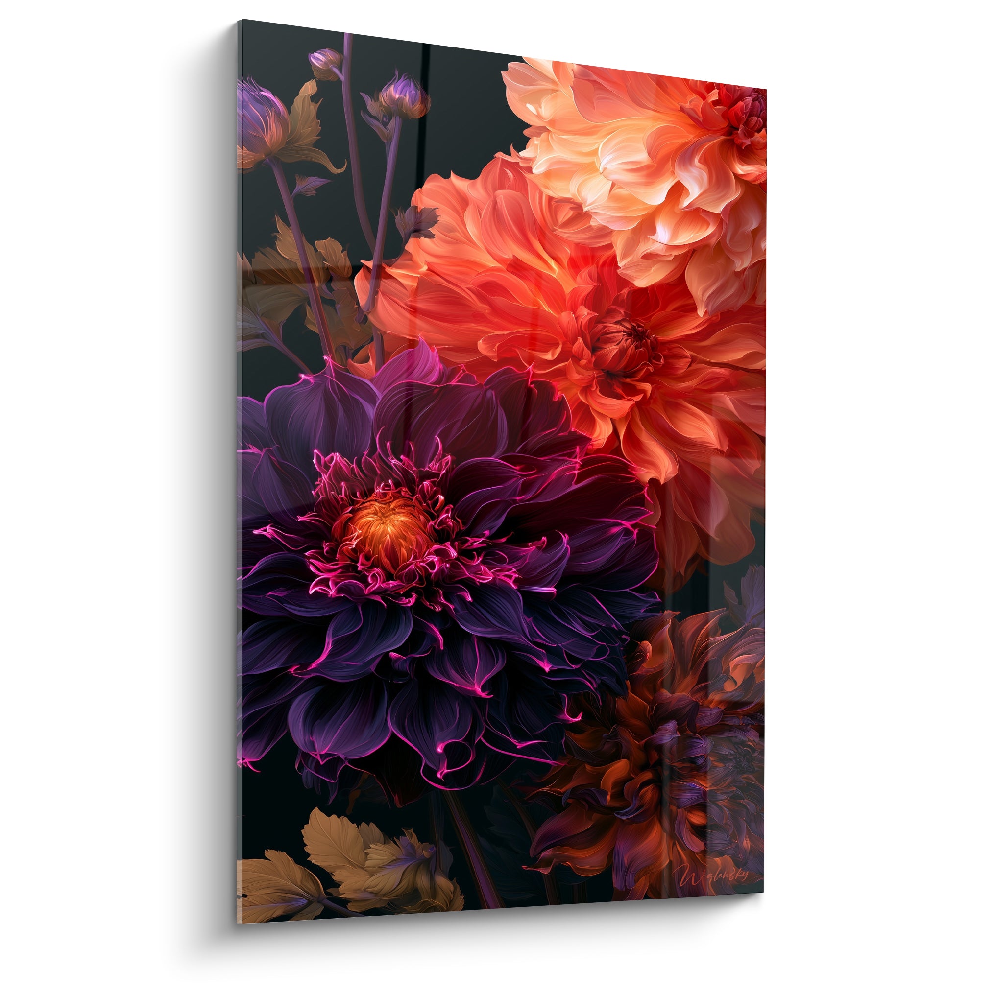 Dahlia pourpre et orangé aux pétales denses sur fond anthracite, traitement pictural lumineux