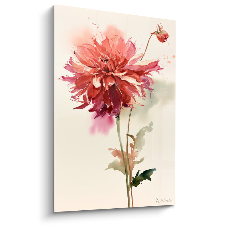 Tableau Dahlia rouge et rose au bouton penché - Éclaboussures d'aquarelle légères - Edition Dahlia