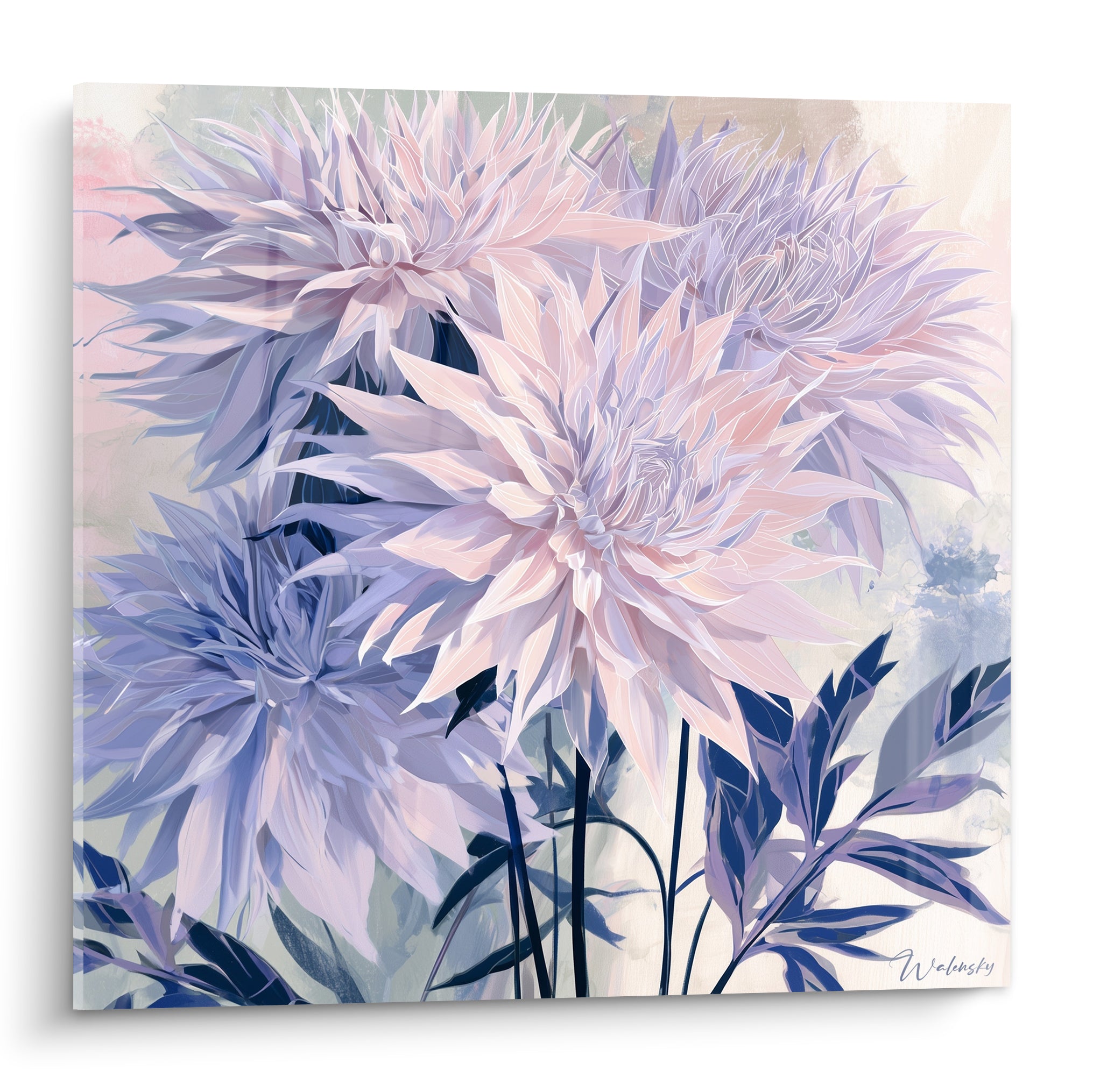 Dahlias roses et mauves aux pétales effilés, feuillage bleu nuit, style aquarelle graphique