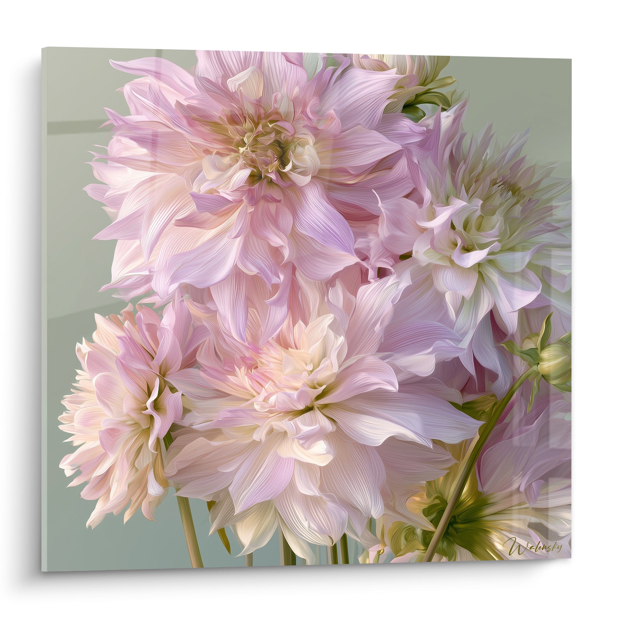 Dahlias roses pâles et ivoire aux pétales soyeux, fond vert sauge, composition florale dense et détaillée
