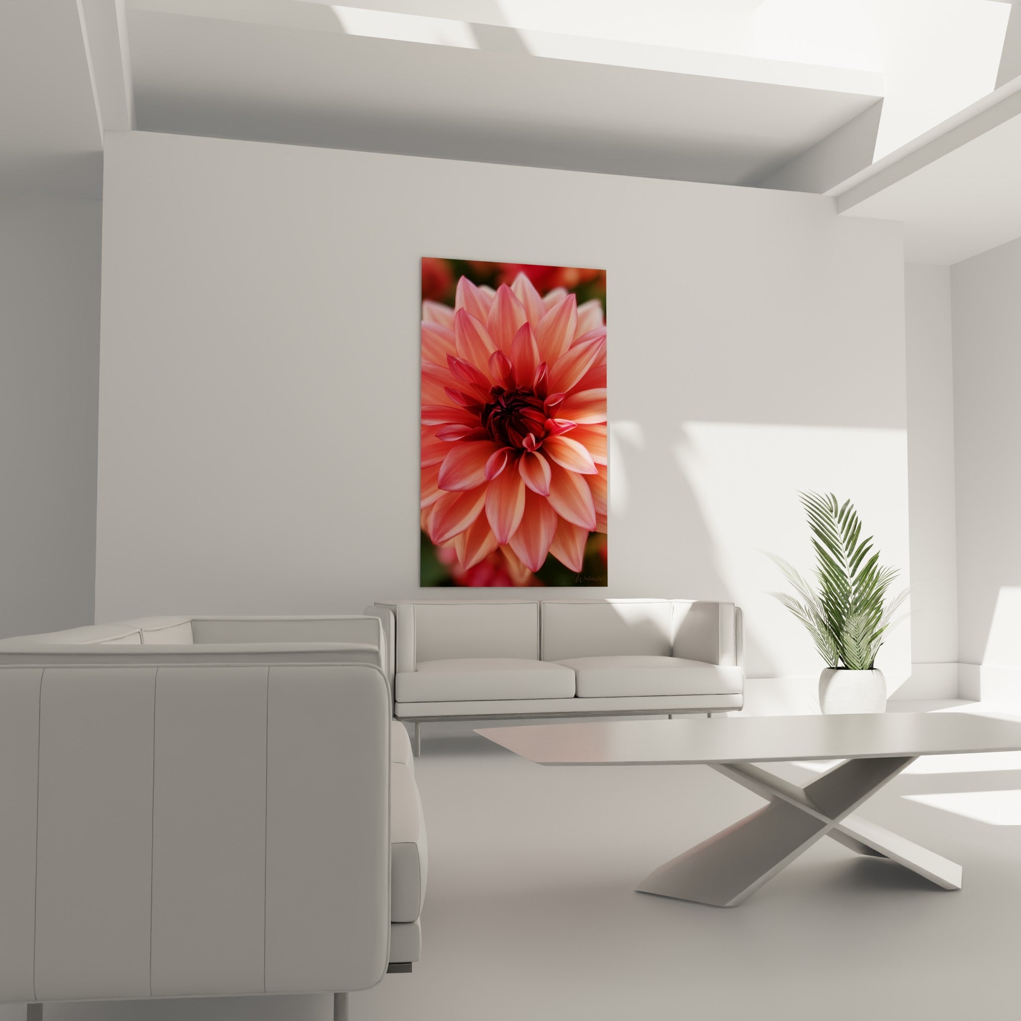 Fleur de dahlia corail et rose pâle, tableau au-dessus d'un canapé dans un salon lumineux