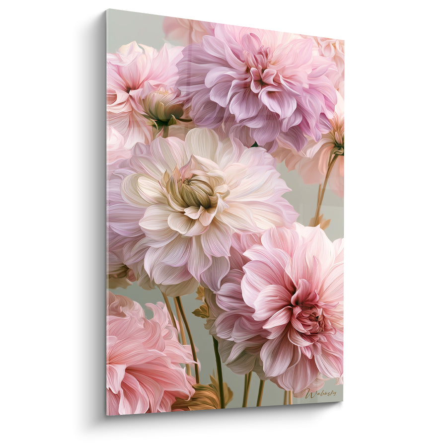 Tableau Dahlias rose pâle et ivoire aux pétales veloutés - Grappe serrée de fleurs - Edition Dahlia