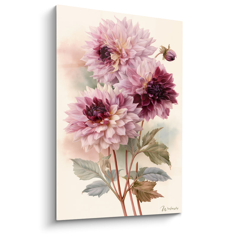 Tableau Dahlias rose pâle et bordeaux aux tiges fines - Bouton latéral penché - Edition Dahlia