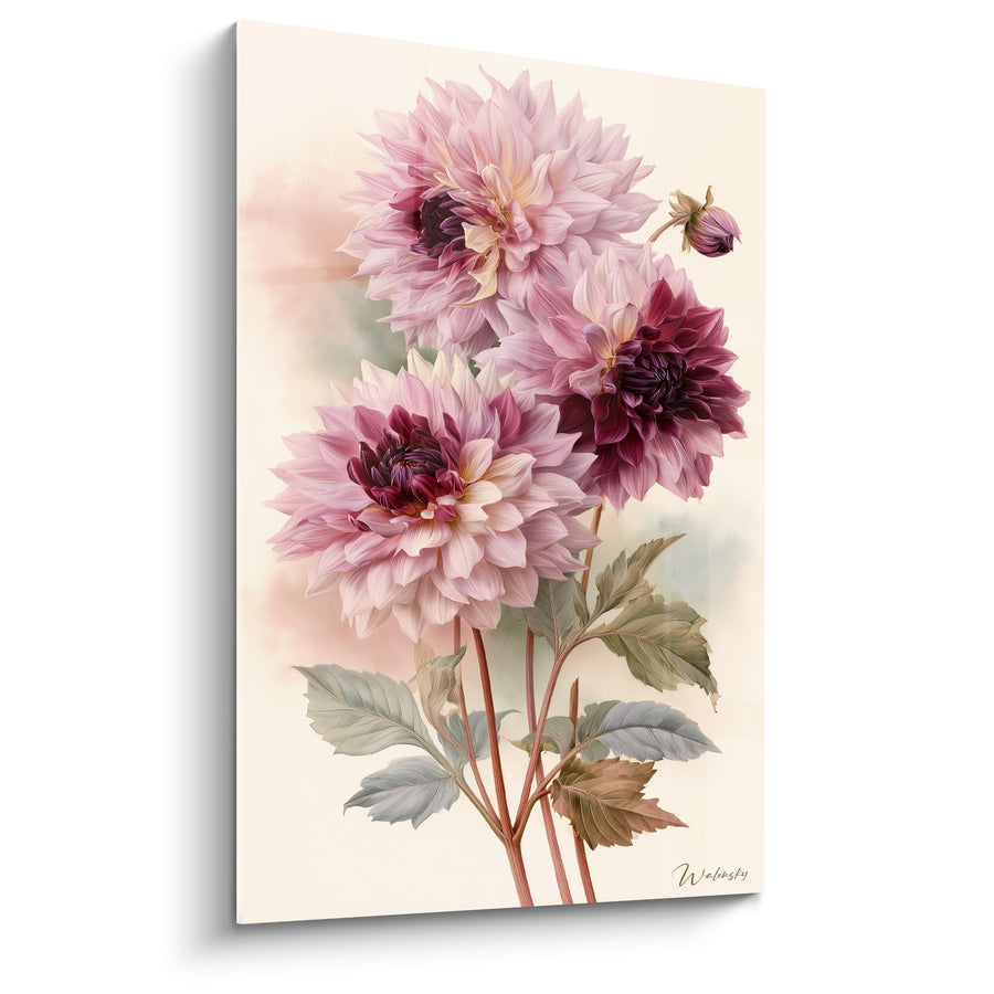 Tableau Dahlias rose pâle et bordeaux aux tiges fines - Bouton latéral penché - Edition Dahlia