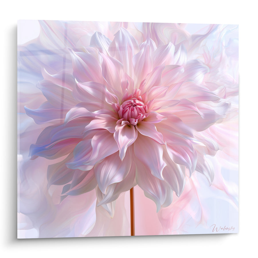 Blumenbild blühender Dalia mit puderrosa Blütenblättern - Hauch von Sanftheit - Edition Dahlia