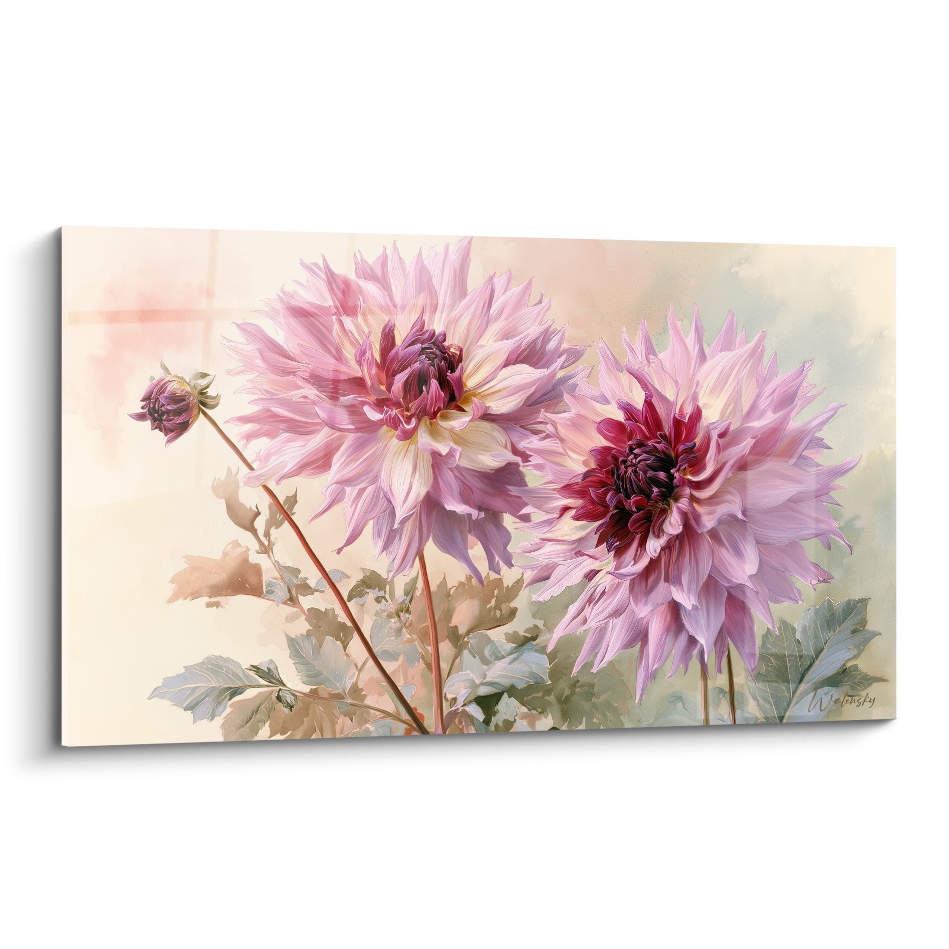 Dahlias roses aux cœurs pourpres peints en aquarelle sur fond ivoire et vert sauge délicat
