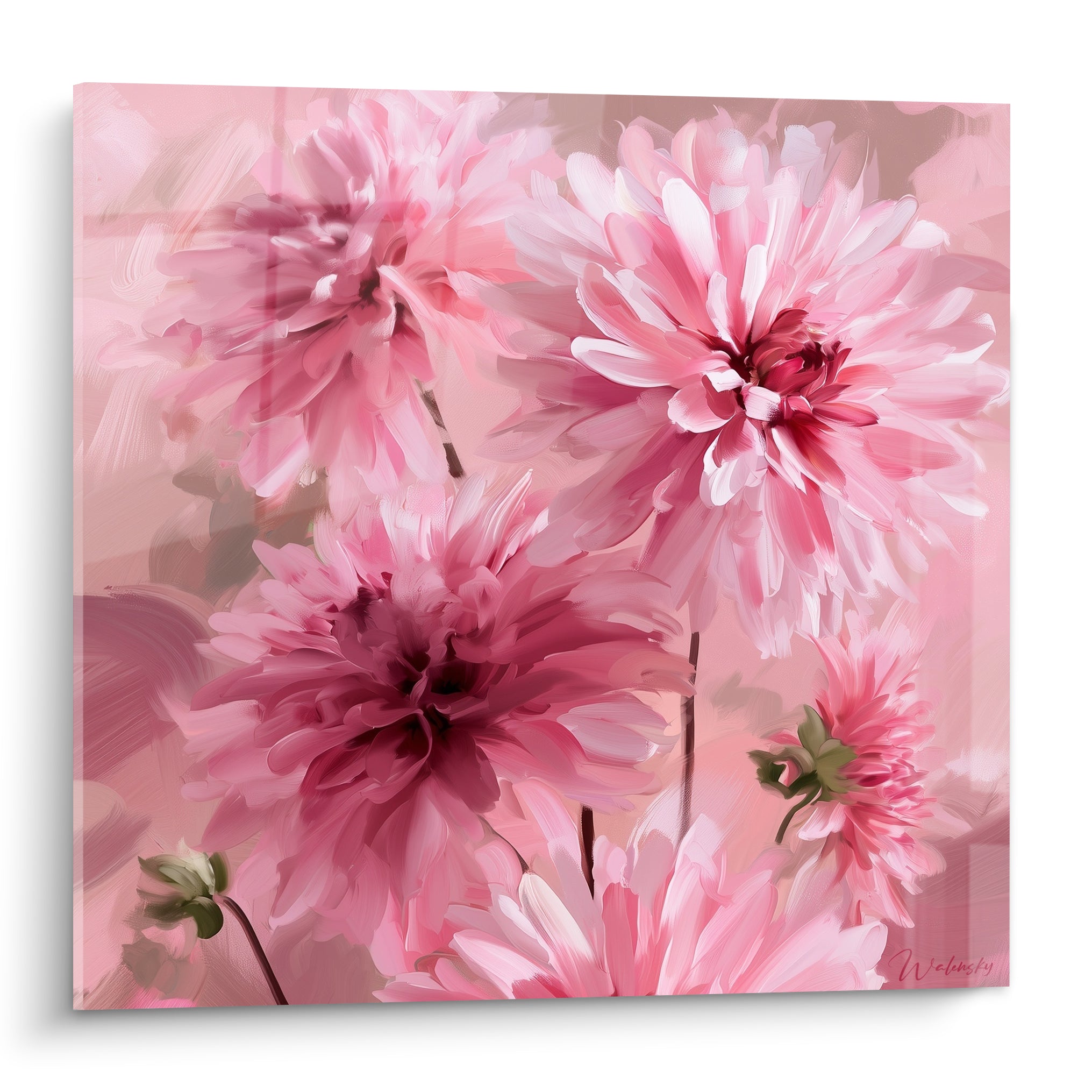 Dahlias roses aux cœurs pourpres en pleine floraison, touche picturale sur fond rose estompé
