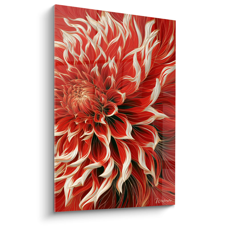 Tableau Dahlia rouge et blanc aux pétales flammés - Illustration au trait fin - Edition Dahlia