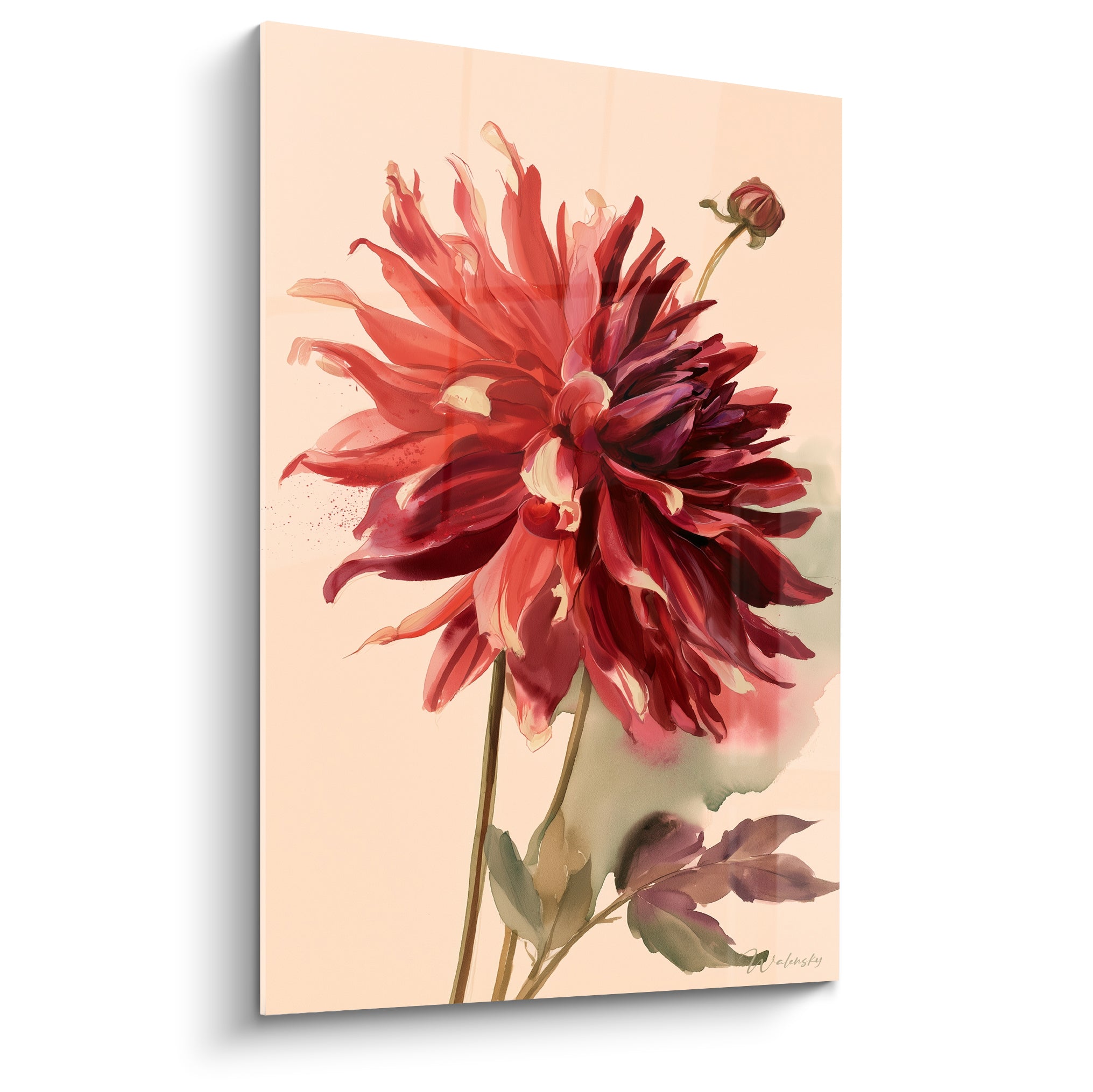 Dahlia rouge et bordeaux aux pétales déployés, peint à l'aquarelle sur fond rosé pâle