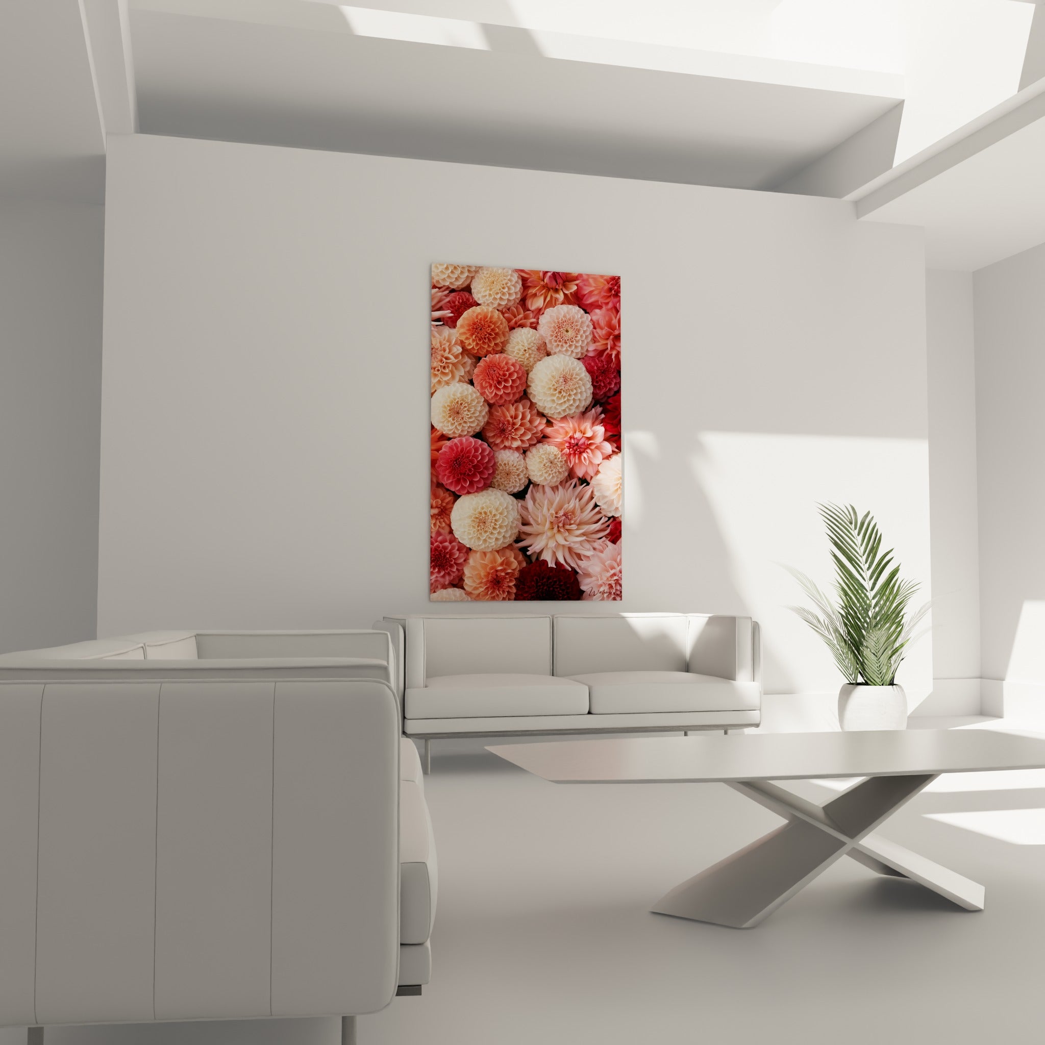 Fleurs de dahlia rose poudré et rouge grenat disposées au-dessus d'un canapé dans un salon lumineux