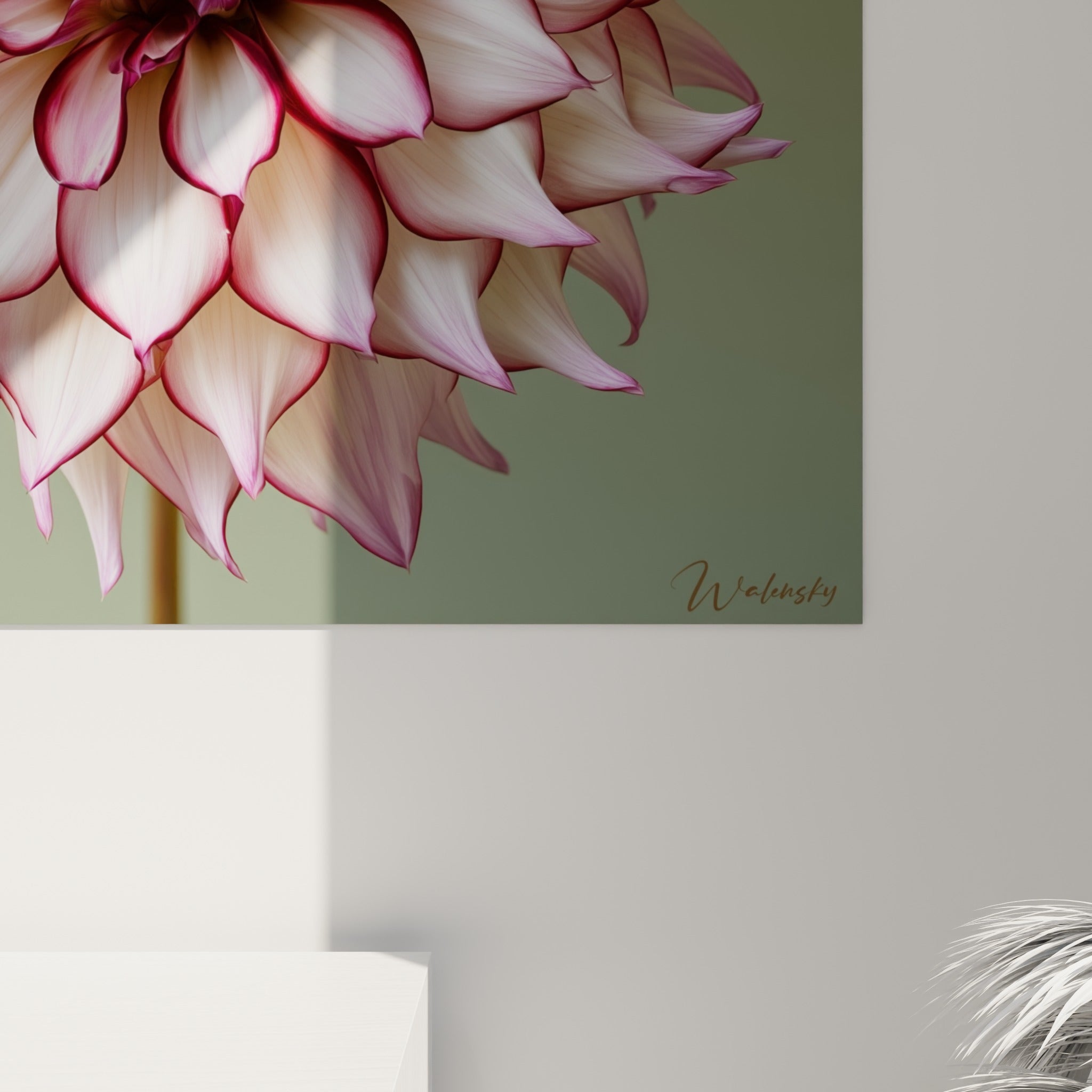 Grain satiné des pétales blancs veinés de rose fuchsia, cœur pourpre texturé en gros plan sur la toile