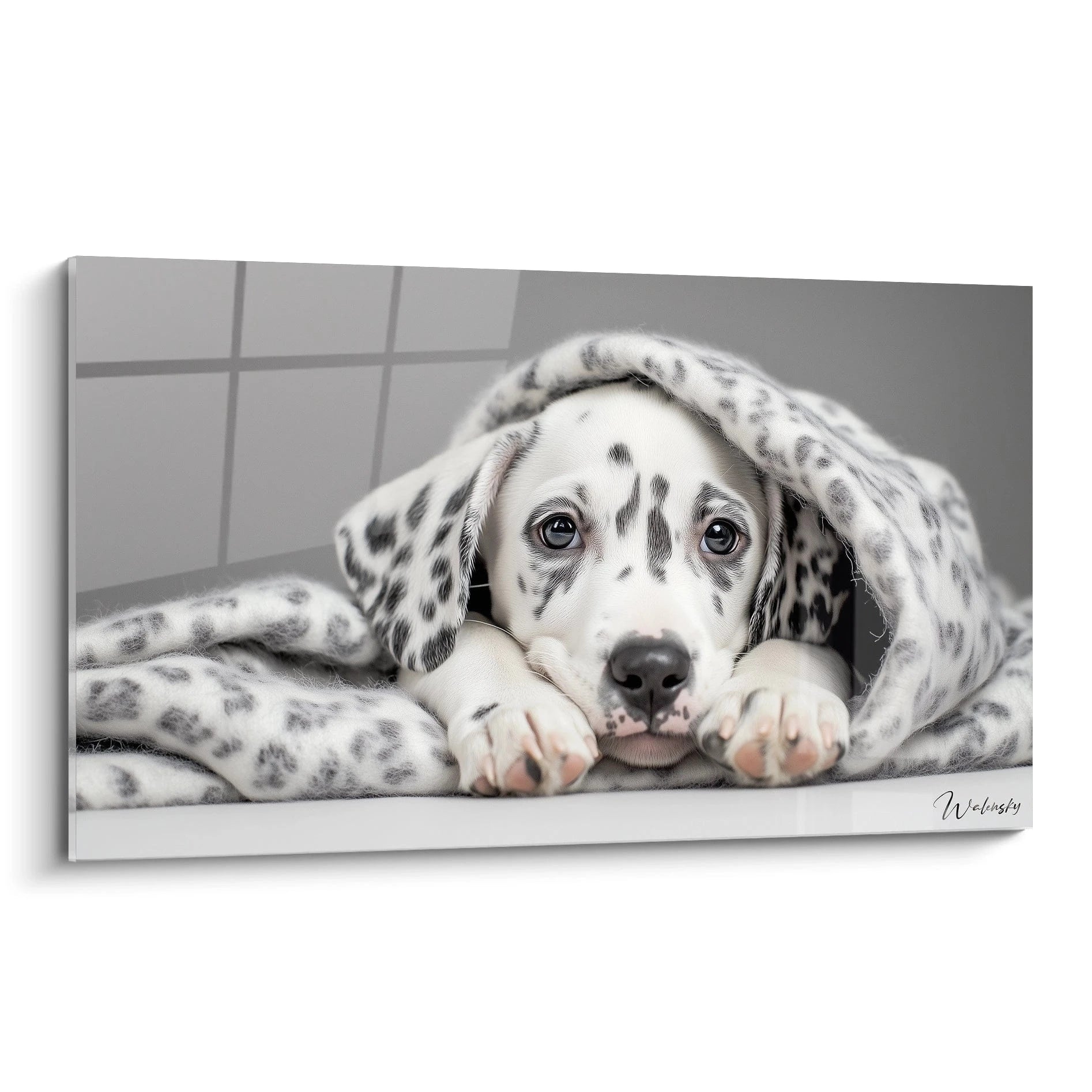 Un tableau dalmatien représentant un jeune chiot blanc à taches noires, allongé sous une couverture tachetée assortie, avec un regard expressif et des pattes repliées sous son museau, sur fond gris neutre.
