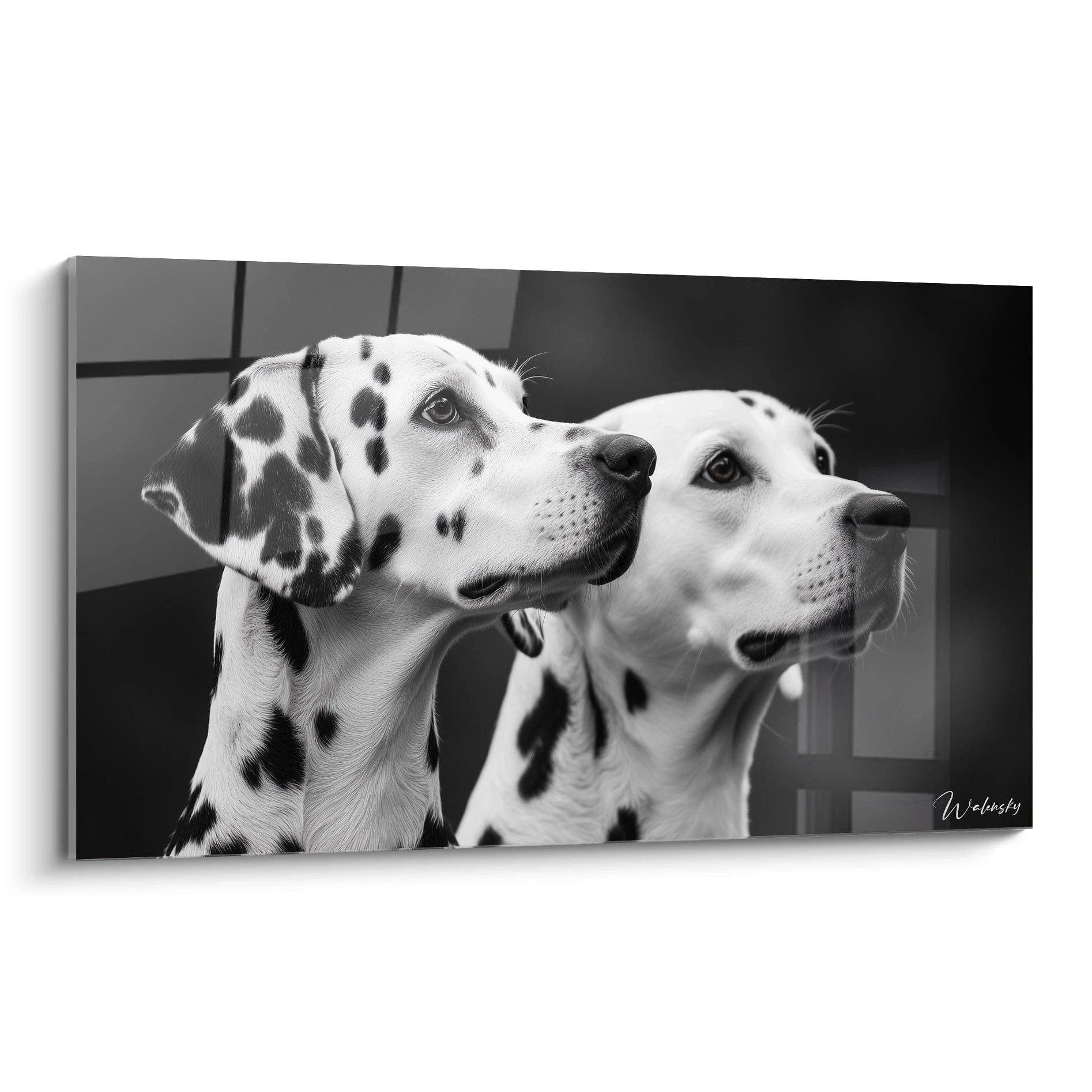 Un tableau dalmatien représentant deux chiens de profil en noir et blanc, leurs museaux alertes pointés dans la même direction. Le contraste saisissant entre le pelage blanc et les taches noires crée un effet graphique puissant sur fond sombre.
