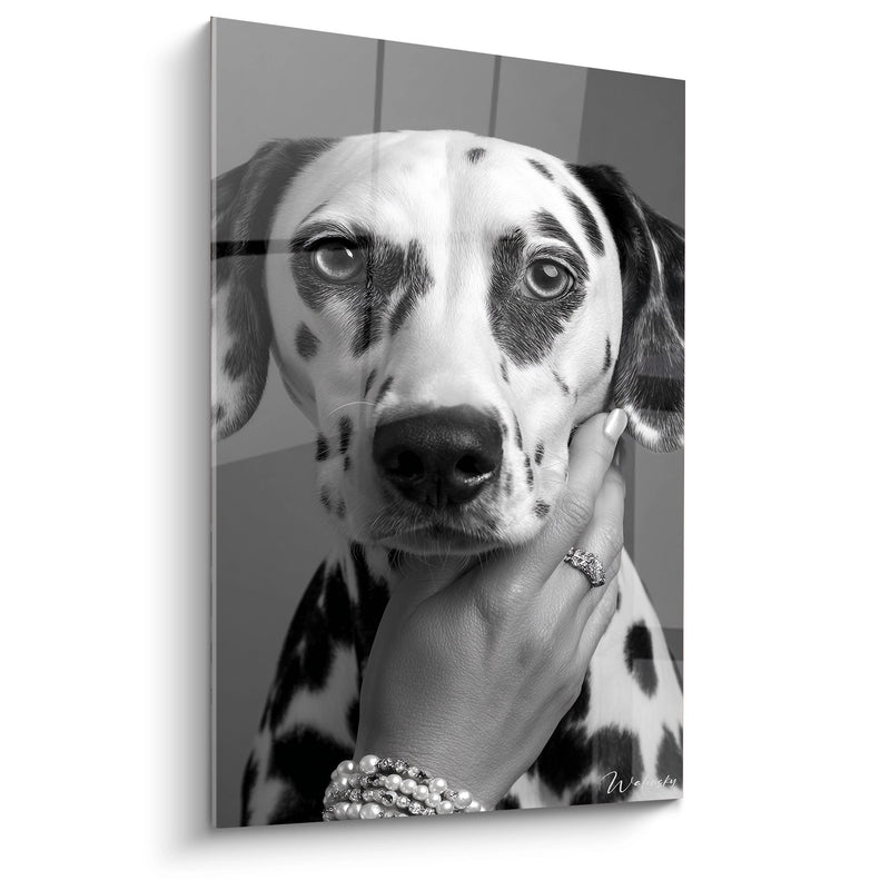 Dalmatiner Porträt Bild Schwarz Weiß mit Eleganter Hand - Eleganz Canine - Dalmatiner Kollektion