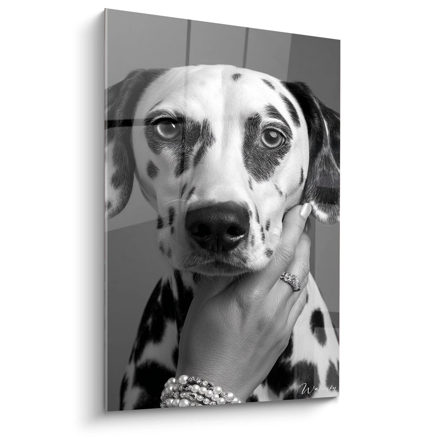 Tableau Dalmatien Portrait Noir et Blanc avec Main Élégante - Élégance Canine - Edition Dalmatien