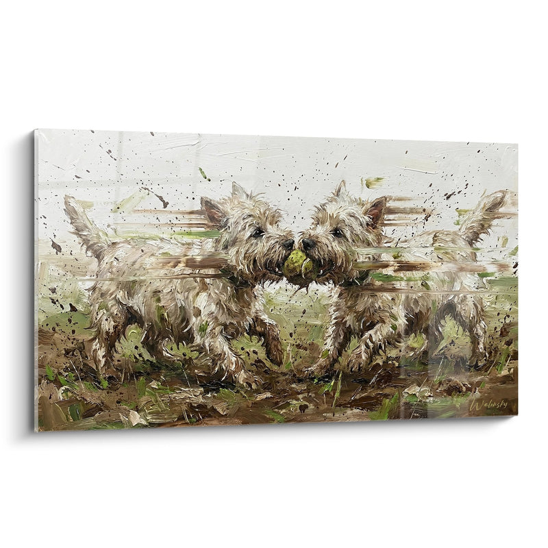 Quadro Due Terrier Sporchi Che Condividono un Bastone - Complicità Canina - Edizione West Highland White Terrier