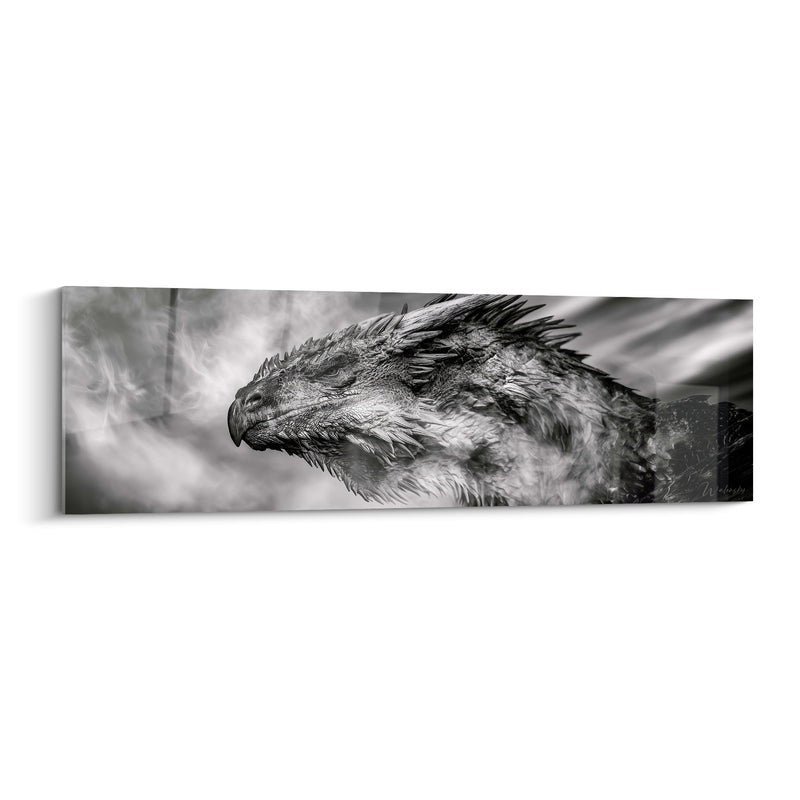 Tableau Tête grise et noire au bec crochu recourbé - Paupières closes - Edition Dragon