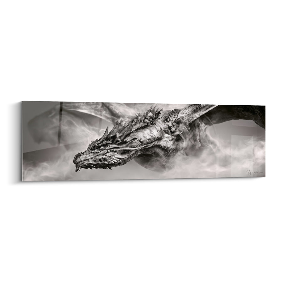 Tableau Dragon gris et blanc ailes déployées dans la brume - Souffle des brumes anciennes - Edition Dragon