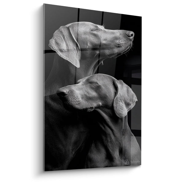 Cuadro Dúo de Weimaraners en Blanco y Negro - Compañía Canina - Edición Weimaraner