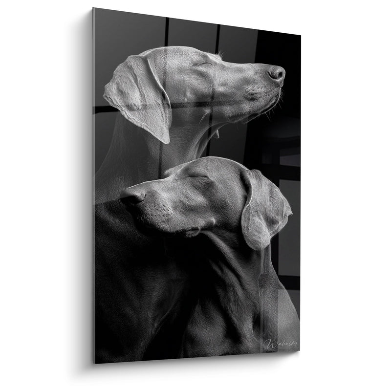 Tableau Duo de Weimaraners en Noir et Blanc - Complicité Canine - Edition Weimaraner