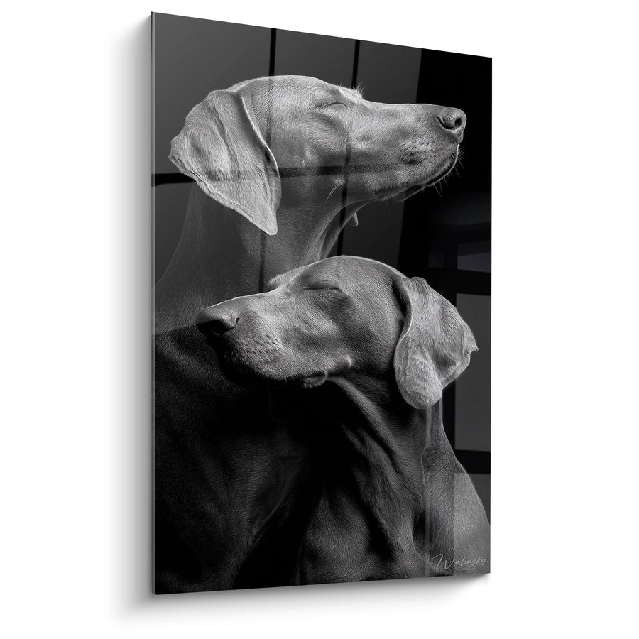 Tableau Duo de Weimaraners en Noir et Blanc - Complicité Canine - Edition Weimaraner