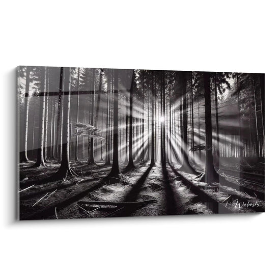 Schilderij "Éclat du Sous-bois" - Zwart-wit editie