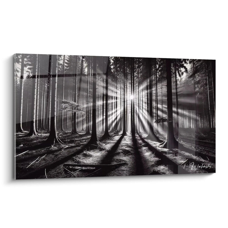 Cuadro Resplandor del Sotobosque - Edición Blanco y Negro