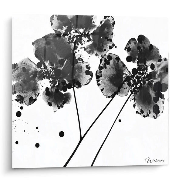 Cuadro Explosiones Florales - edición manchada blanco y negro