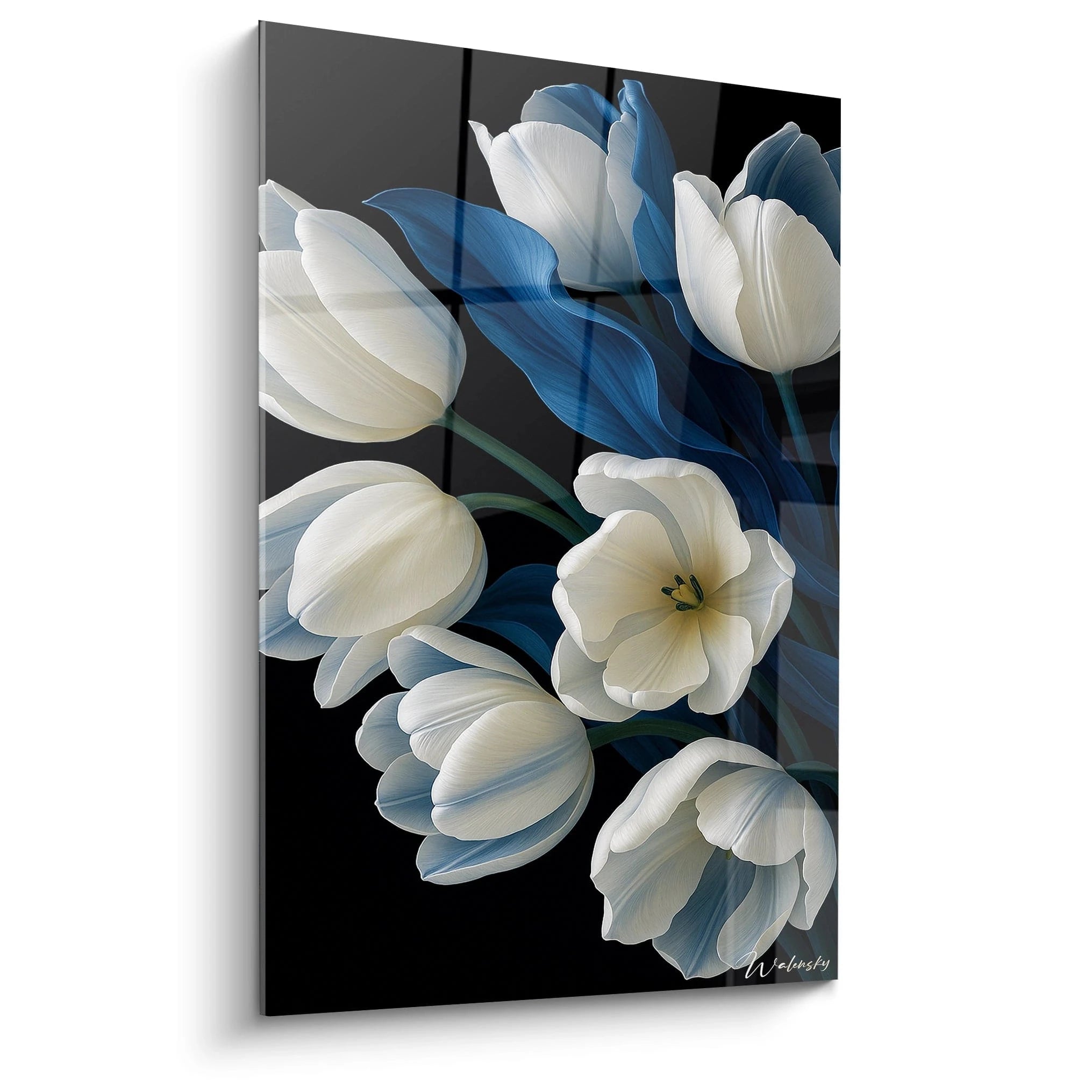 Un tableau fleurs représentant des tulipes blanches délicates sur fond noir profond, avec feuillage bleu vibrant contrastant. Les pétales translucides révèlent des textures soyeuses et des contours finement détaillés, créant une composition florale élégante aux formes organiques.

