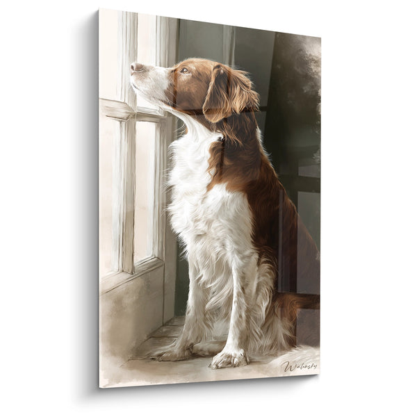Cuadro de Perro Marrón y Blanco en la Ventana - Contemplación Canina - Edición Braco Francés