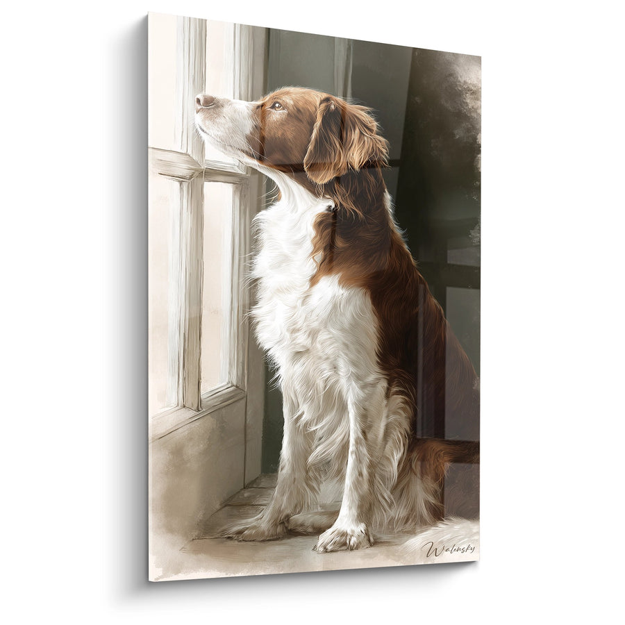 Schilderij Bruine en Witte Hond aan het Raam - Canine Contemplatie - Editie Breton Spaniel