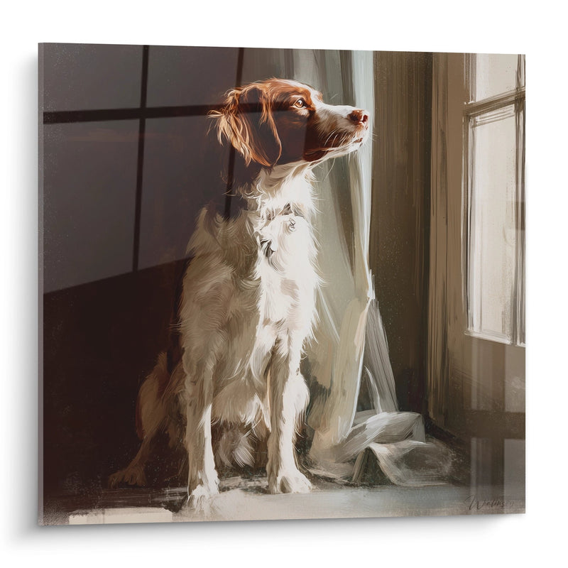 Quadro Cane Seduto Accanto a una Finestra nella Luce Dorata - Malinconia Mattutina - Edizione Spaniel Bretone