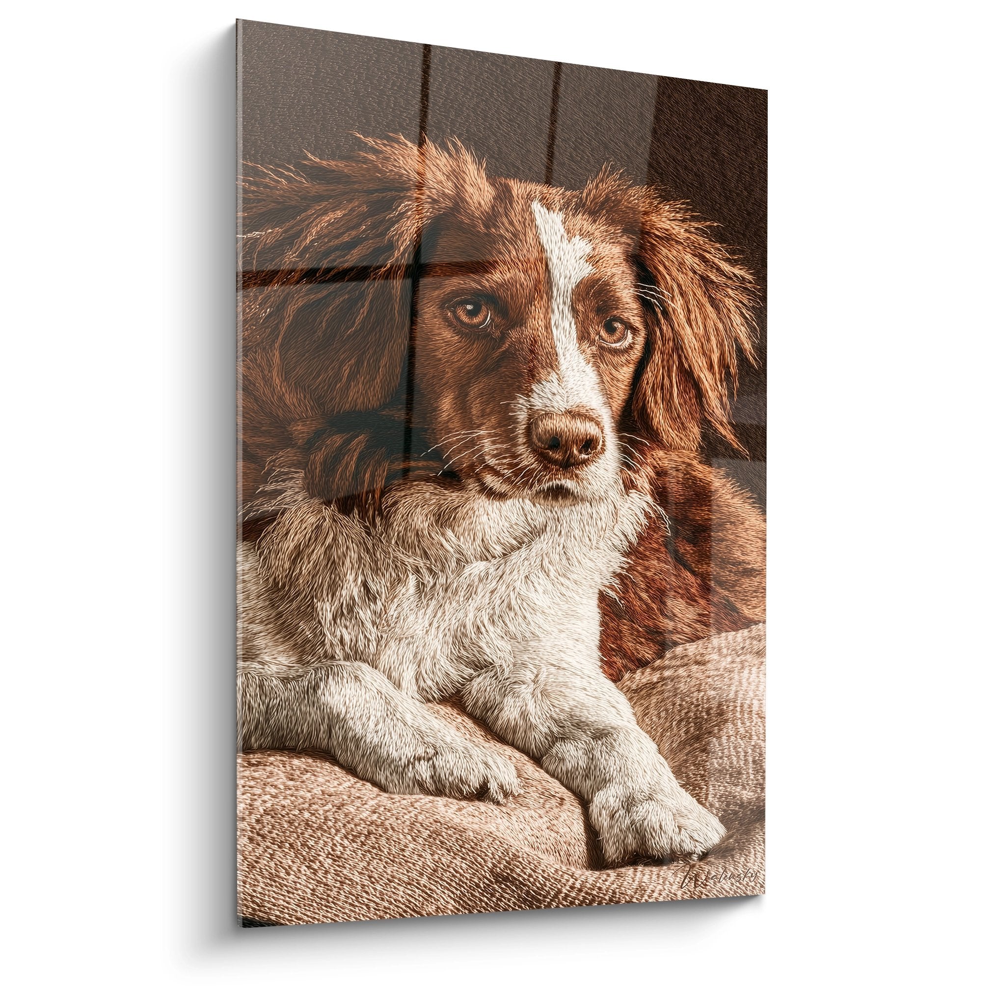 Tableau épagneul breton roux allongé sur canapé beige regard mélancolique portrait canin réaliste