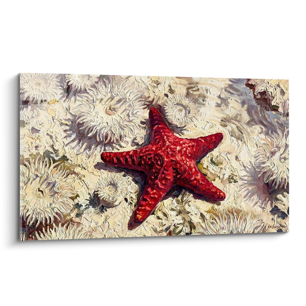 Cuadro Estrella de mar roja escarlata sobre anémonas blancas cremosas - Tesoro de las profundidades - Edición Estrella de mar
