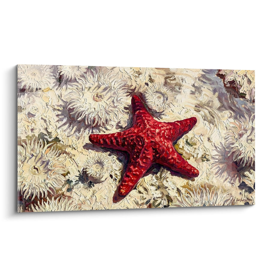 Tableau Étoile de mer rouge écarlate sur anémones blanches crémeuses - Trésor des profondeurs - Edition Etoile de mer