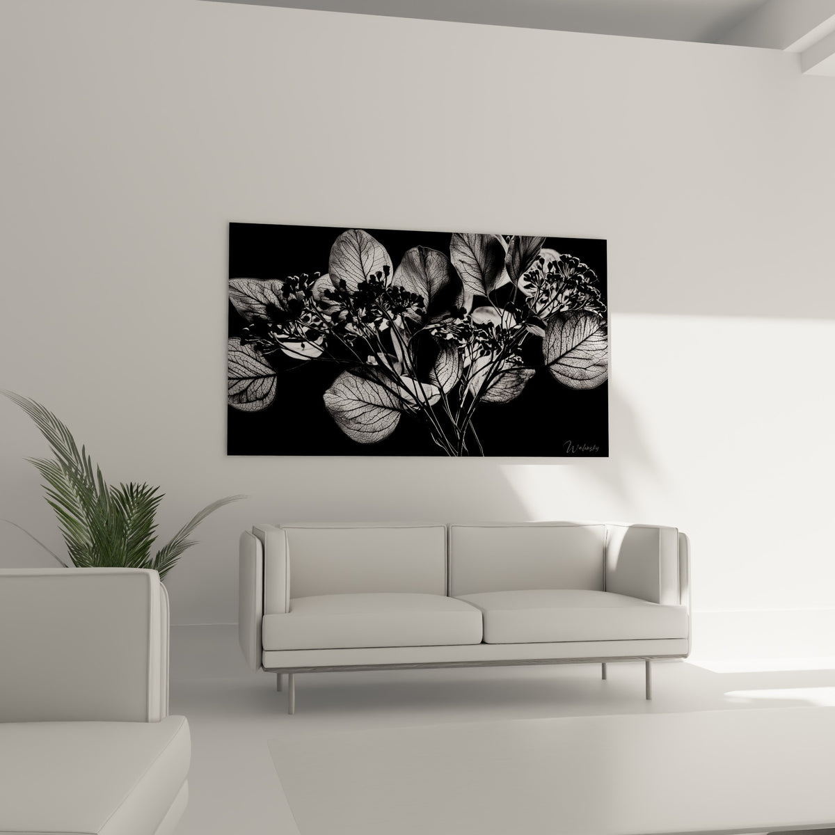 Branche d'eucalyptus rétroéclairée aux tons gris et anthracite, au-dessus d'un canapé dans un salon lumineux