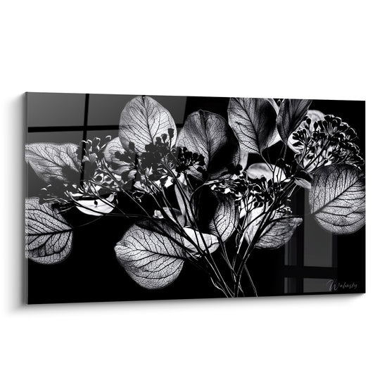 Eucalyptus argenté aux nervures translucides sur fond noir profond, style radiographie botanique