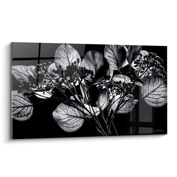 Tableau Feuillage argenté aux nervures translucides - Lumière nocturne - Edition Eucalyptus