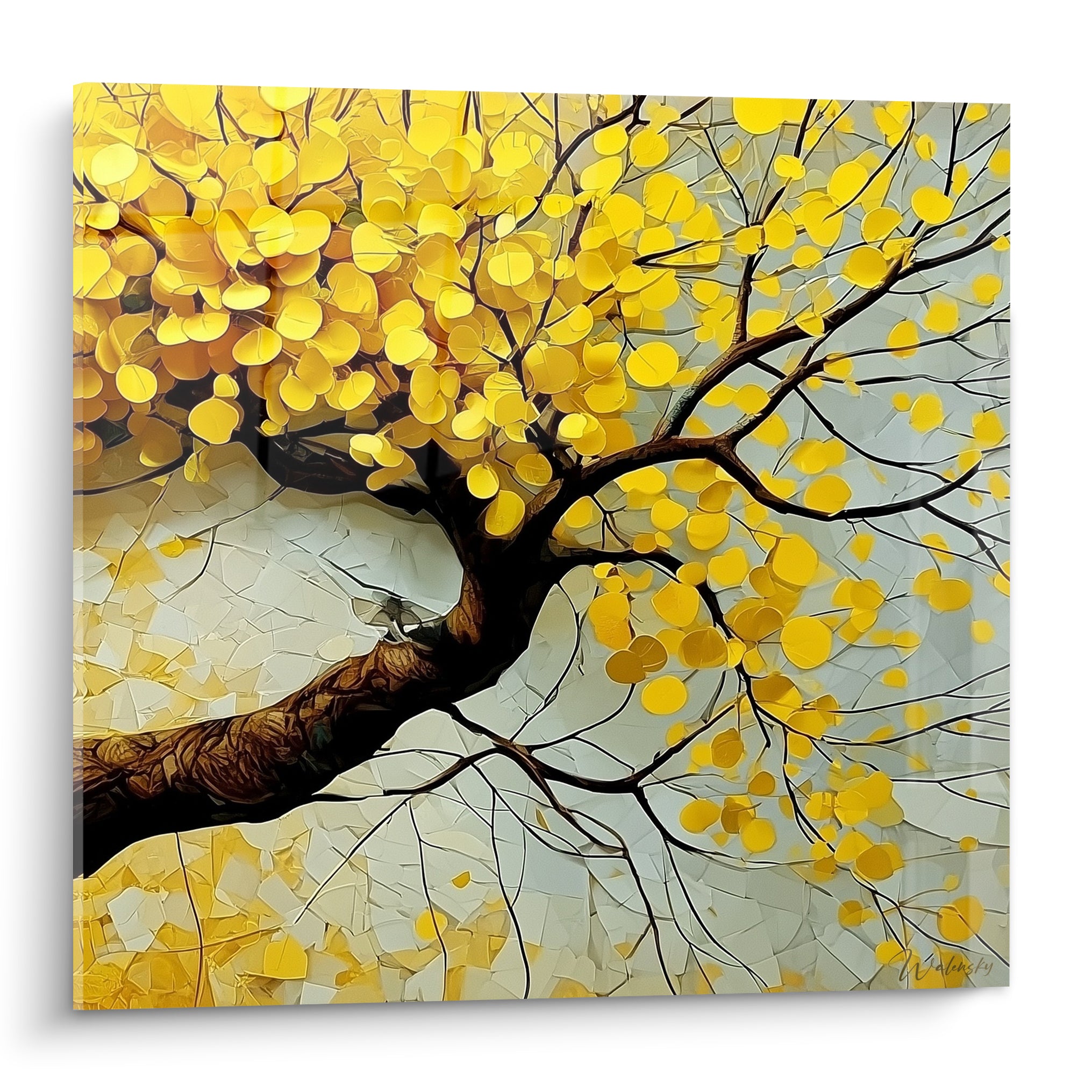 Arbre Eucalyptus aux feuilles jaune doré et tronc brun texturé sur fond blanc craquelé