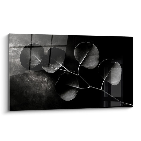 Tableau Branche d'eucalyptus aux tons noir et blanc - Clarté silencieuse - Edition Eucalyptus